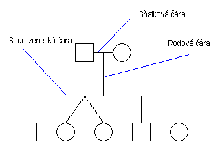 schema 1