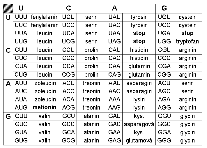 Tabulka genetického kódu