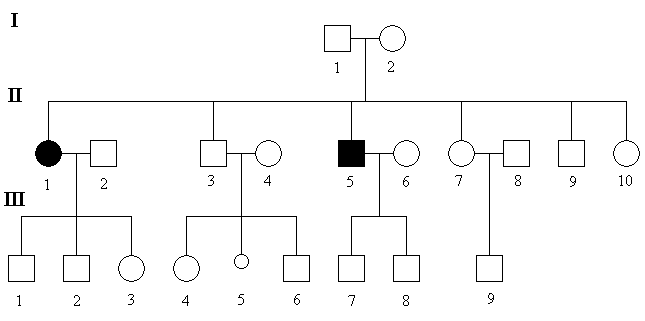 schema-AR