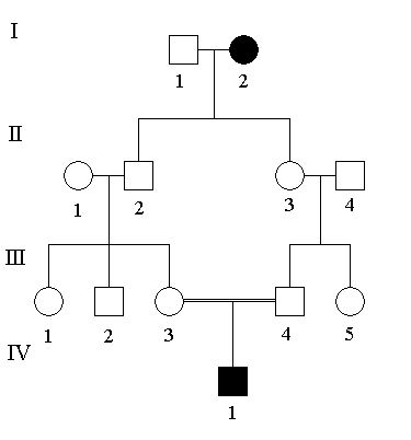 schema-AR2.