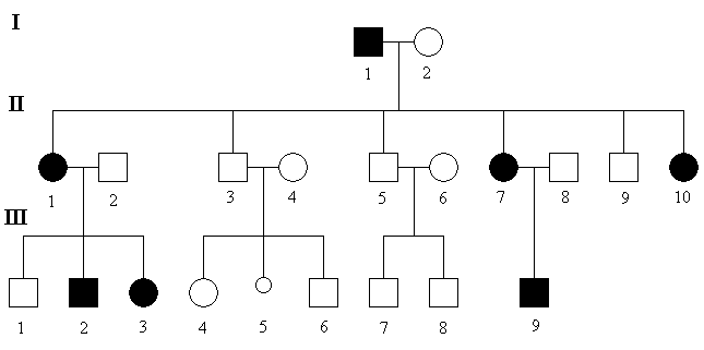 schema-GD