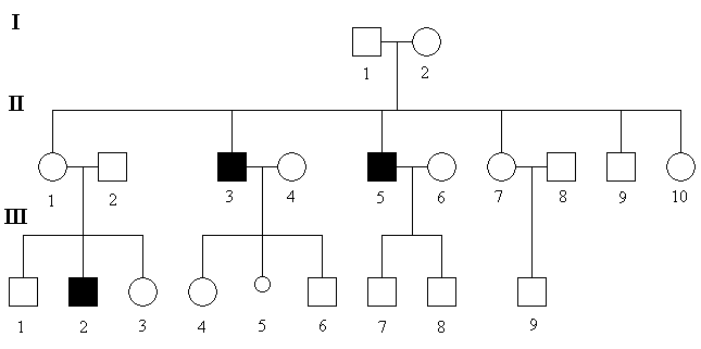 schema-GR