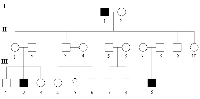 schema-GR2