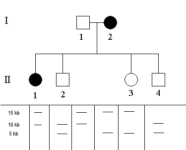 schema-RF1