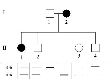 schema-RF1_priklad