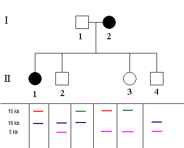 schema-RF2