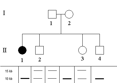 schema-RF2_priklad