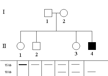 schema-RF3_priklad