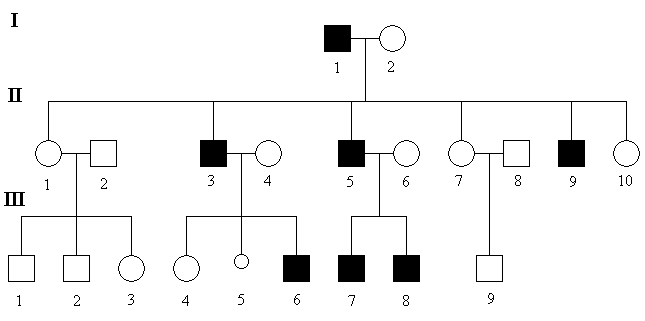 schema-holandr