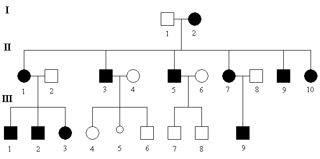 schema-mito