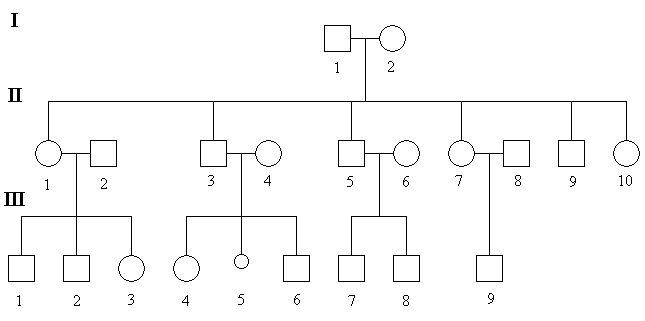 schema-zaklad